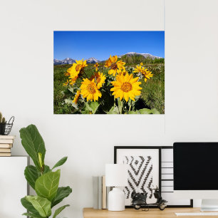 Arrowleaf Balsamroot Framed Print