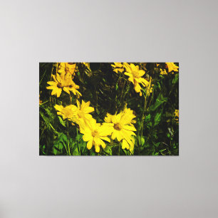 Arrowleaf Balsamroot Yellow Wildflower Abstract Canvas Print