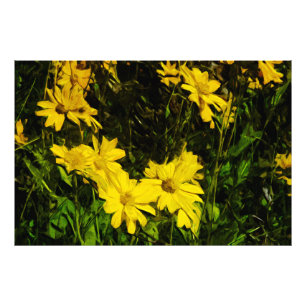 Arrowleaf Balsamroot Yellow Wildflower Abstract Photo Print