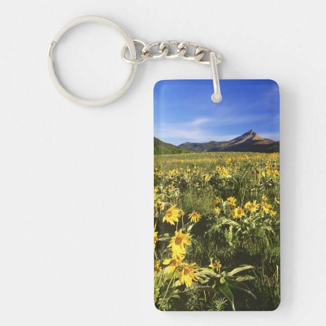 Arrowleaf balsomroot covers the praire with key ring (Front)