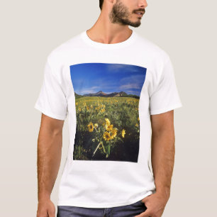 Arrowleaf balsomroot wildflowers in Waterton 2 T-Shirt