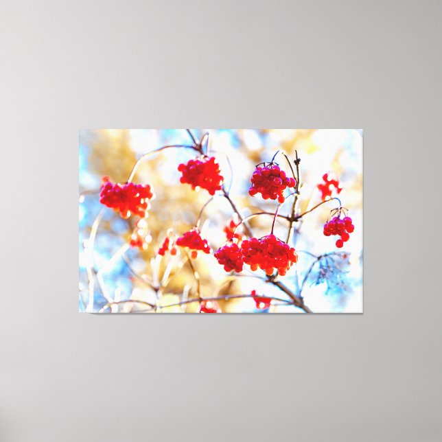 Arrowwood Berries Canvas Print (Front)