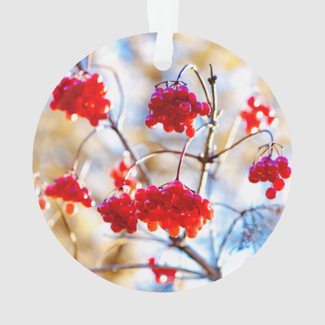Arrowwood Berries Ornament (Back)
