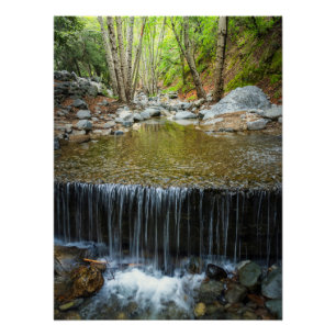 Arroyo Flow Poster