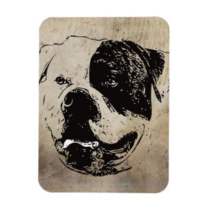 Art America Bulldog Bulldog Lovers Gift Magnet