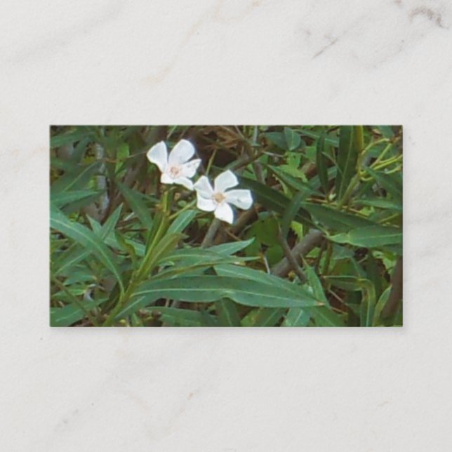 ART AND DESIGN BUSINESS CARDS (Front)