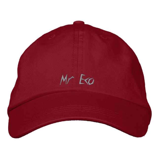 ART AND DESIGN STYLE embroidered cap (Front)