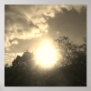 ART AND DESIGN WALL POSTER