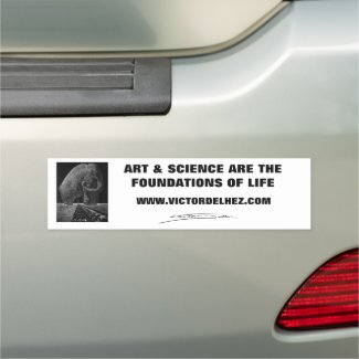 Art and Science bumper car magnet