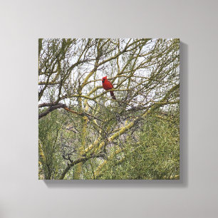Art Canvas Cardinal Print