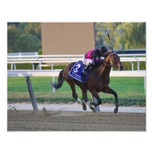 Art Collector and Luis Saez Capturing the Woodward Photo Print