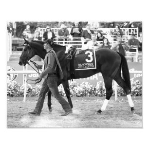 Art Collector Photo Print