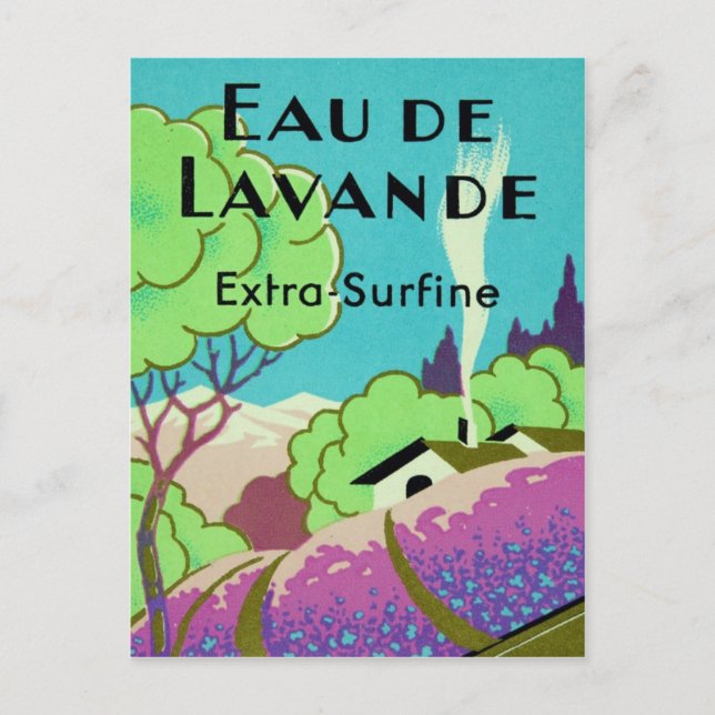 Art Deco French Lavender Farm Postcard (Front)