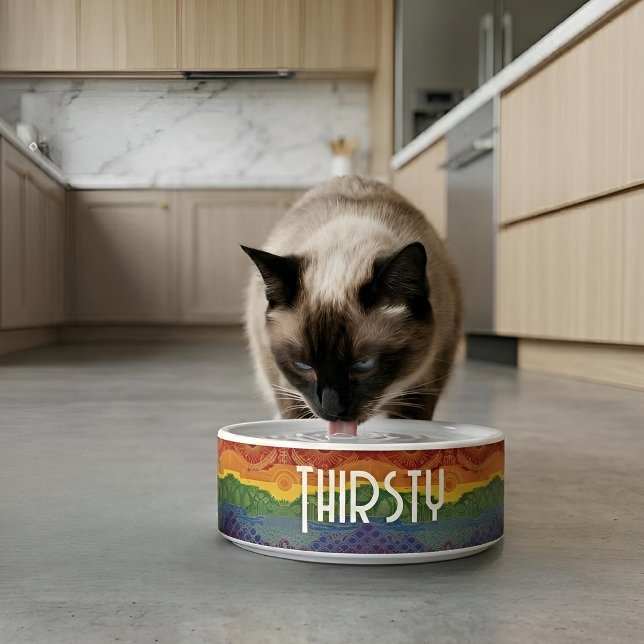 Art Deco Pride Flag | Rainbow Ceramic Pet Bowl (Lifestyle Shot)