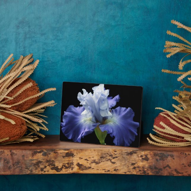 Art Decor Plaque-Iris Plaque (Side)