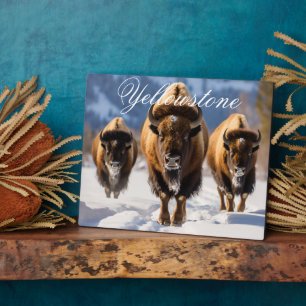Art Decor -Yellowstone Plaque