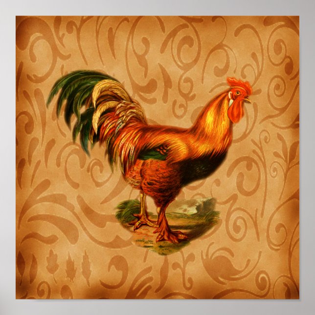 Art For The Kitchen Ornate Rustic Rooster Poster (Front)