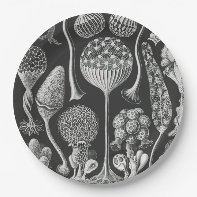  Art forms of nature  Paper Plate (Front)