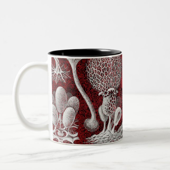  Art forms of nature   Two-Tone Coffee Mug (Left)