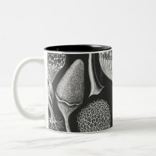  Art forms of nature   Two-Tone Coffee Mug