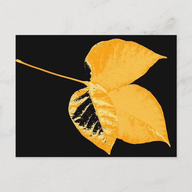 Art Leaf 12 Postcard (Front)