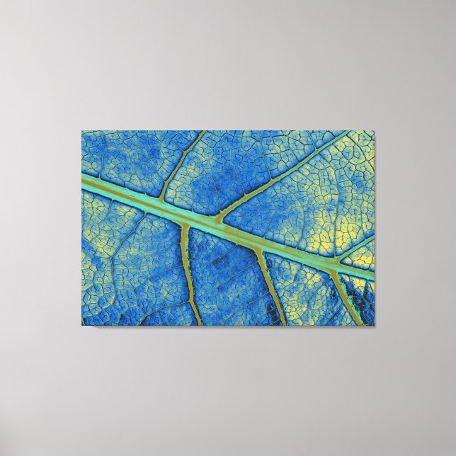 Art Leaf 5 Canvas Print (Front)