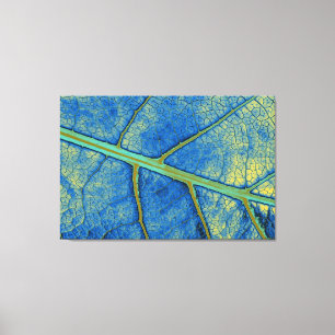 Art Leaf 5 Canvas Print