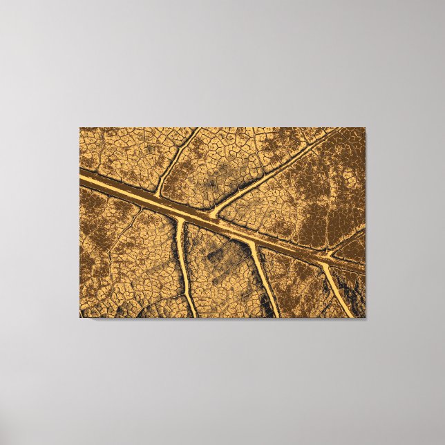 Art Leaf 8 Canvas Print (Front)