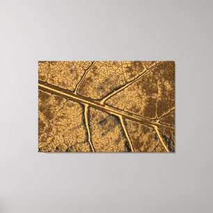 Art Leaf 8 Canvas Print