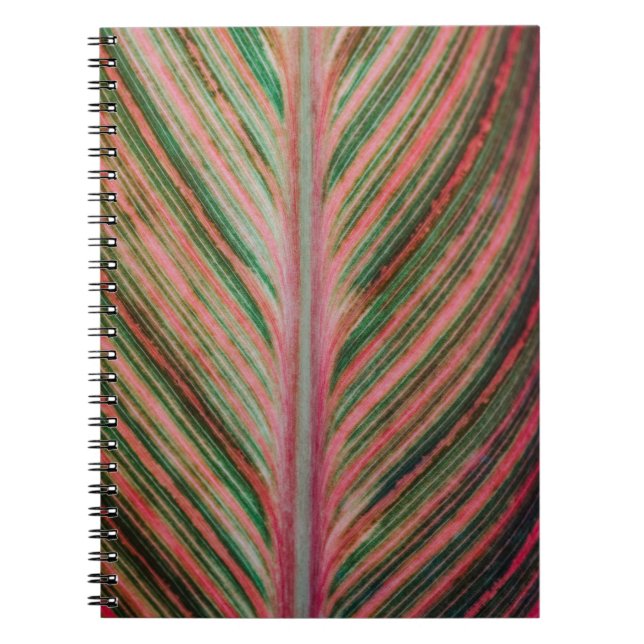 Art Notebook (Front)
