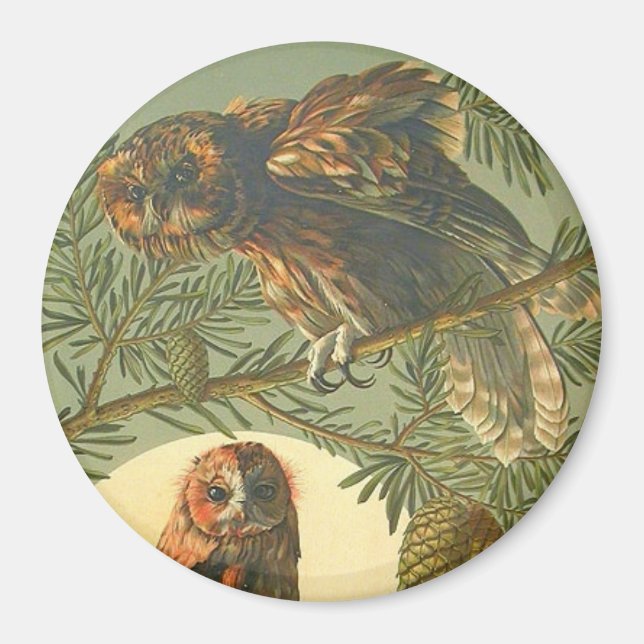 Art nouveau Anton Seder owl brown green yellow Magnet (Front)