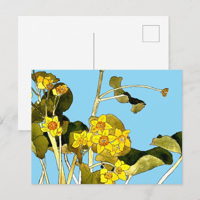 Art Nouveau Buttercups Postcard (Front/Back)
