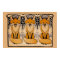 Art nouveau foxes