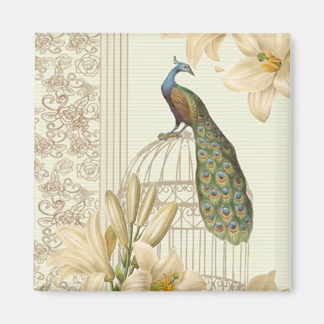 art nouveau  french lily vintage birdcage peacock magnet (Front)