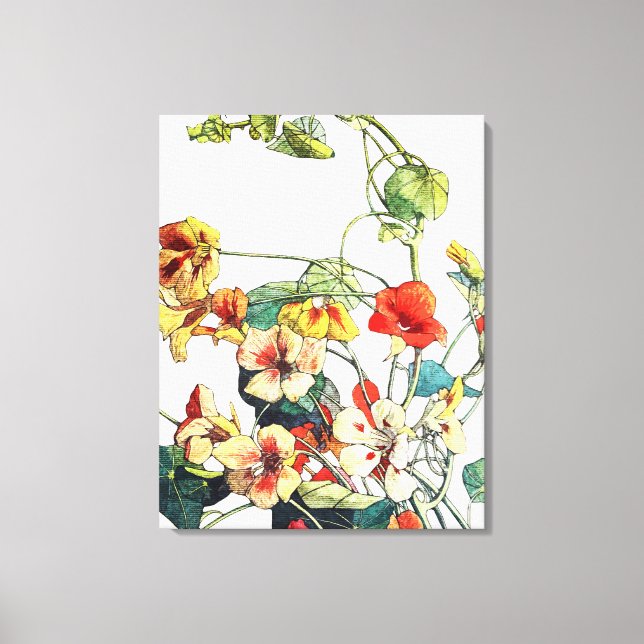 Art Nouveau Garden Nasturtium Flowers Canvas Print (Front)