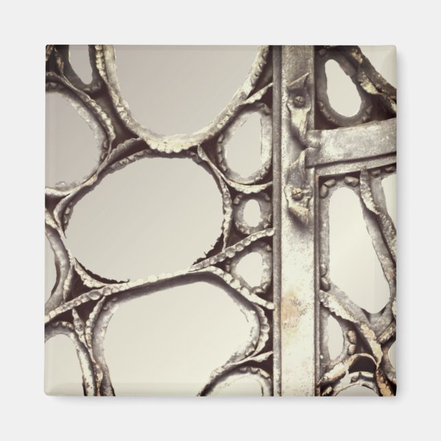 Art nouveau iron gate door antoni gaudi elegant magnet (Front)