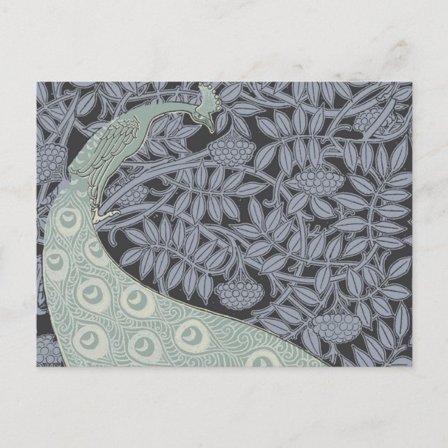 Art Nouveau Peacock Classic Vintage Bird Postcard (Front)