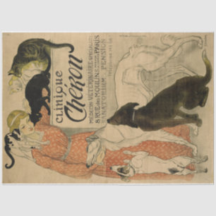 Art Nouveau Poster 21 Pets Lady Decoupage Tissue Paper