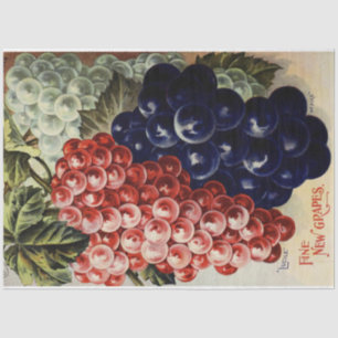 Art Nouveau Poster 25 Grape Decoupage Tissue Paper