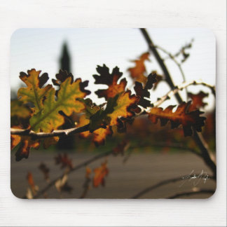Art Nouveau Sapling Mouse Mat
