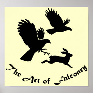 Art of Falconry - Harris Hawks Poster