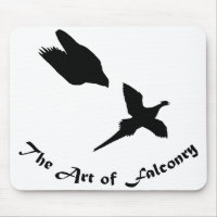 Art of Falconry- Peregrine Falcon