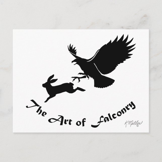 Art of Falconry - Red Tail Hawk Postcard (Front)
