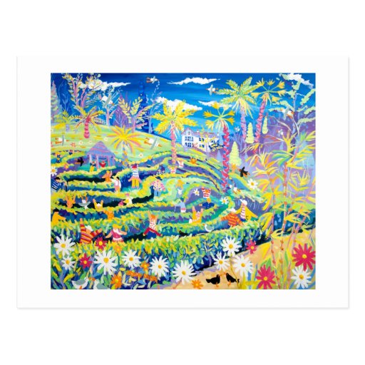 Image of Art Postcard: The Maze at Glendurgan Garden Postcard