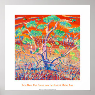 Art Poster: Banrock Station Sunset Mallee Tree Poster