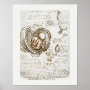 ART POSTER : LEONARDO DA VINCI : STUDY 1510 - 1513