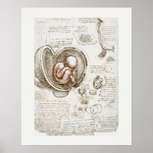 ART POSTER : LEONARDO DA VINCI : STUDY 1510 - 1513 (Front)