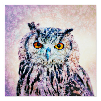 Art - Poster Owl Mixed Media