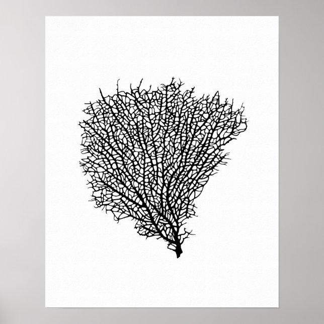 Art print, black coral fan on white poster (Front)