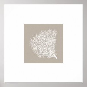 art print of white coral branch